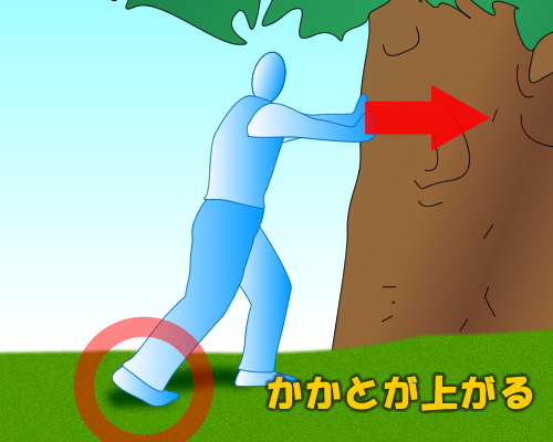 かかとが上がる